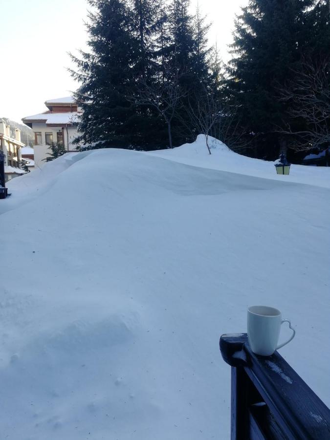 IV Apartment In The Wonderful Rhodope Mountain Smolyan Exterior photo